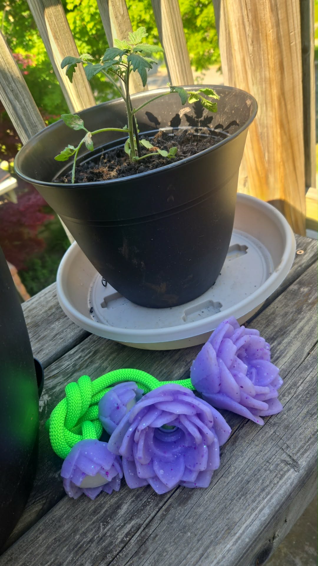 LANNA GOFUNDME RAFFLE
